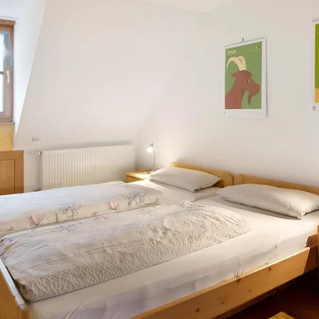 Ringlihof Apartment *